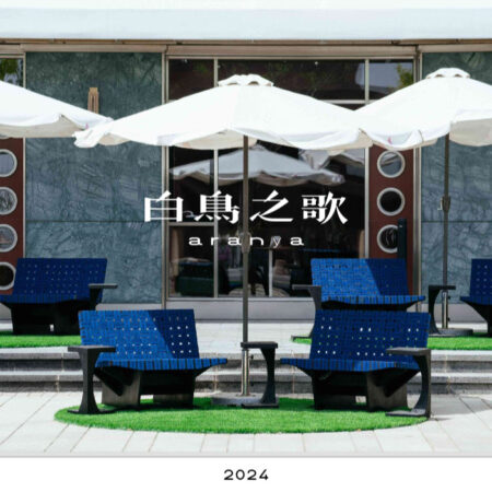 Étude de cas de chaise salon réelle dans le magasin Aranya avec une conception moderne tropicale
