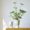Elegant ceramic flower pot for home and office decor