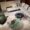Luxury living room with round green marble centerpiece table